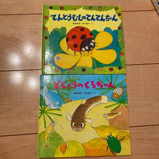 てんとうむしのてんてんちゃん　どじょうのくろちゃん(絵本/児童書)