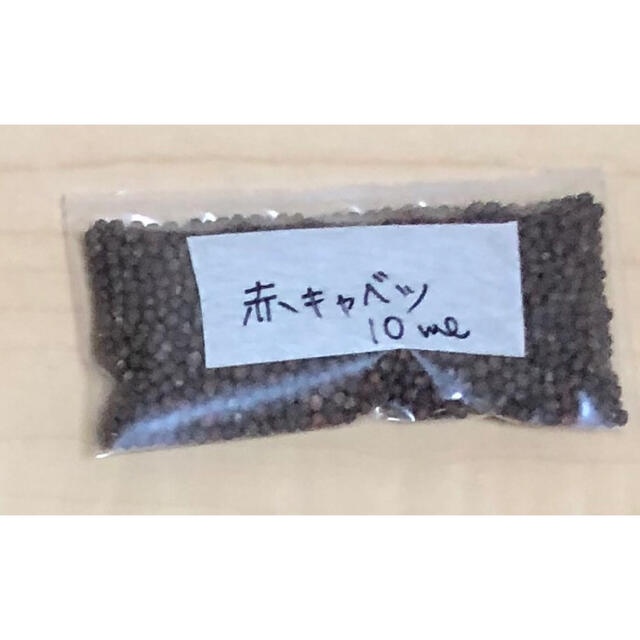 【有機種子オーガニック】赤キャベツスプラウトの種 10ml 家庭菜園 タネ 食品/飲料/酒の食品(野菜)の商品写真