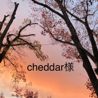 cheddar様用(外出用品)