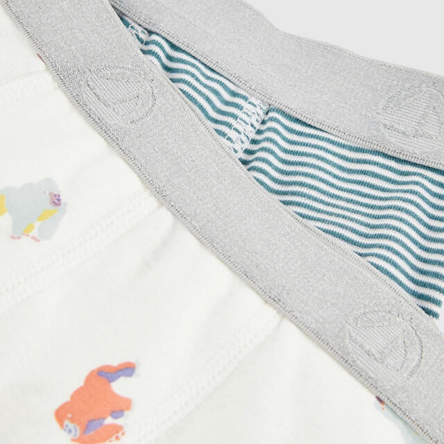 PETIT BATEAU(プチバトー)のプチバトー　新品トランクス2枚組　3ans/95cm キッズ/ベビー/マタニティのキッズ服男の子用(90cm~)(下着)の商品写真