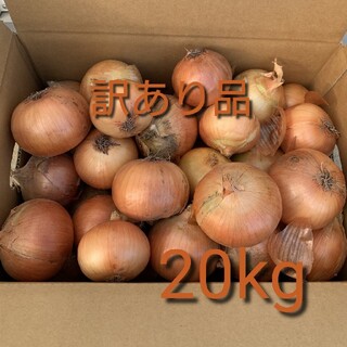 北海道産玉ねぎ訳あり20kg(野菜)