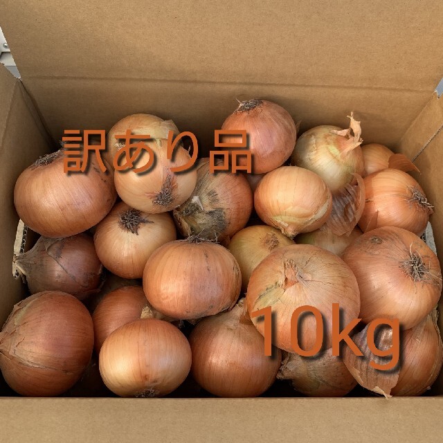 北海道産玉ねぎ訳あり10kg 食品/飲料/酒の食品(野菜)の商品写真