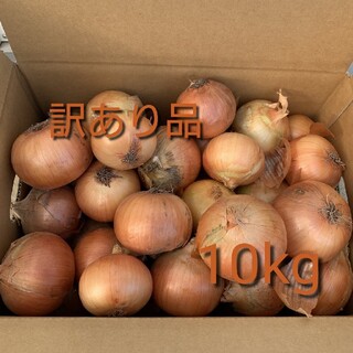 北海道産玉ねぎ訳あり10kg(野菜)