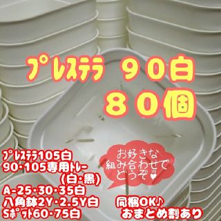 【スリット鉢】プレステラ90白80個 多肉植物 プラ鉢(プランター)