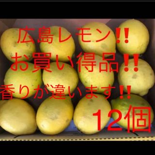 国産　広島レモン　12個(フルーツ)