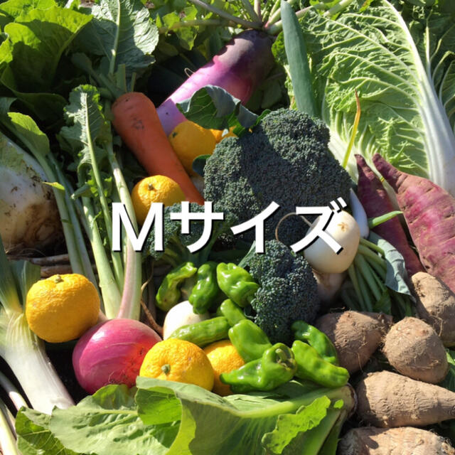 野菜BOX Mサイズ 食品/飲料/酒の食品(野菜)の商品写真