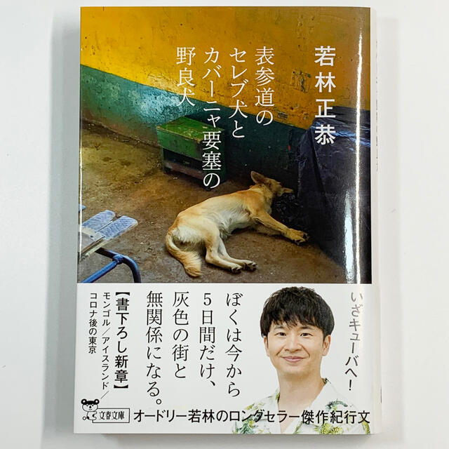 表参道のセレブ犬とカバーニャ要塞の野良犬 若林正恭 文藝春秋 文庫 の通販 By Donbla55 S Shop ラクマ 表参道のセレブ犬とカバーニャ要塞の野良犬 若林正恭 文藝春秋 文庫 の通販 By Donbla55 S Shop ラクマ