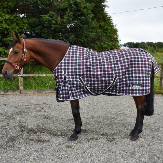 馬着 ターンアウトラグ 6.3ft 馬具 乗馬 馬術 クリスマス特集2020 9180