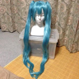 お取り置き＊(ロングストレート)