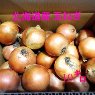 北海道産農家直送玉ねぎ お値下げ中(野菜)