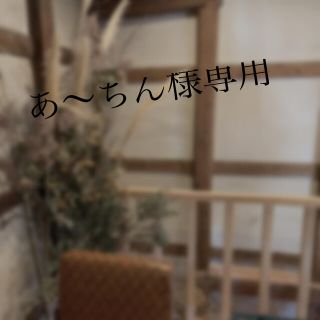 あ〜ちん様専用(キャラクターグッズ)