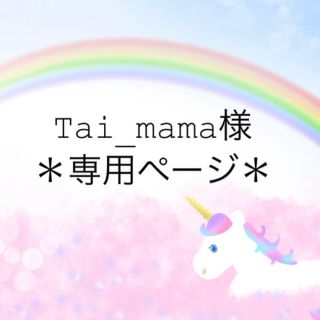 ＊Tai_mama様専用ページ＊(チャーム)