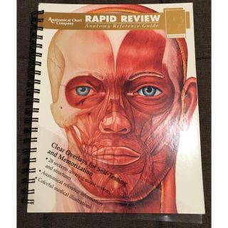 洋書図版Anatomy Reference Guide解剖学参考書 暗記シート付(健康/医学)