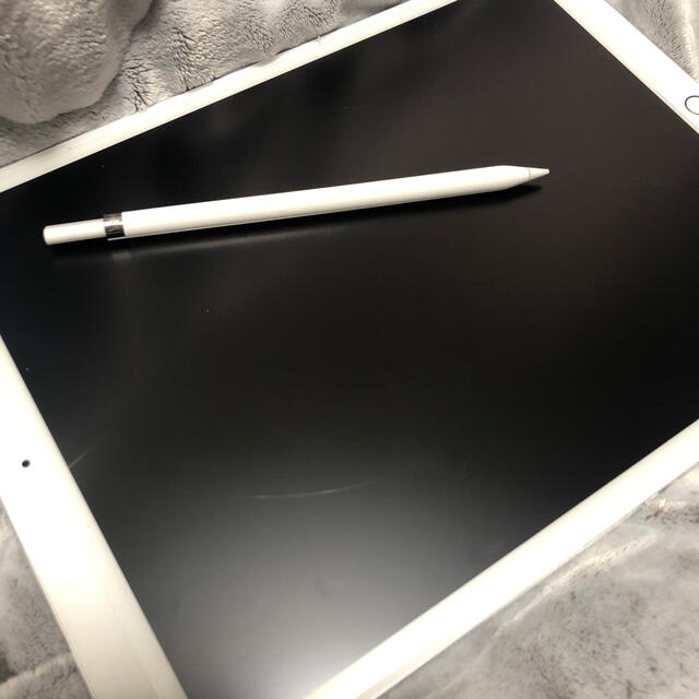 iPad pro 第一世代 12.9インチ 256GB Wifi モデル