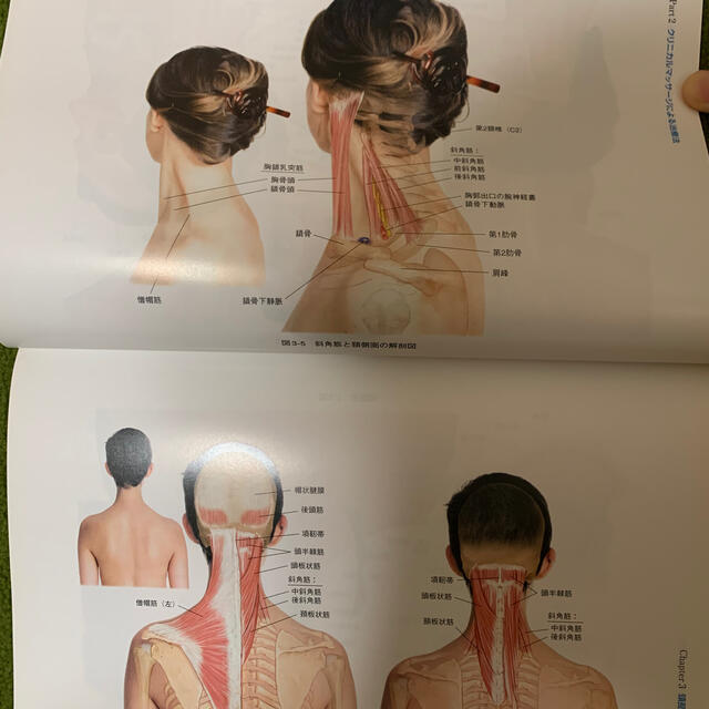 クリニカルマッサージ エンタメ/ホビーの本(健康/医学)の商品写真