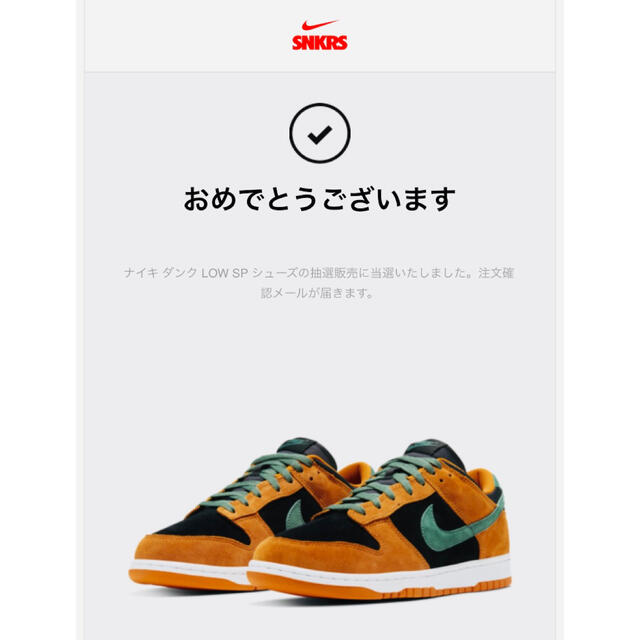 【28㎝】NIKE DUNK LOW  CERAMIC