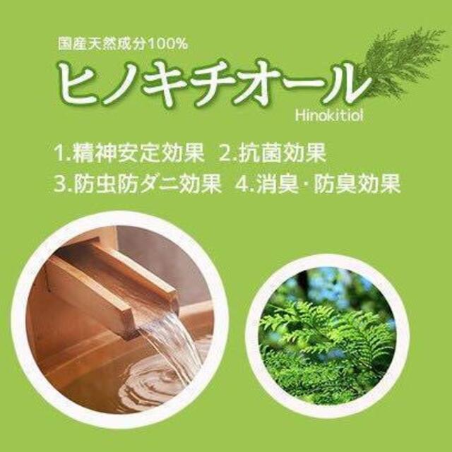 ヒバ抽出 ヒノキチオール10L 1