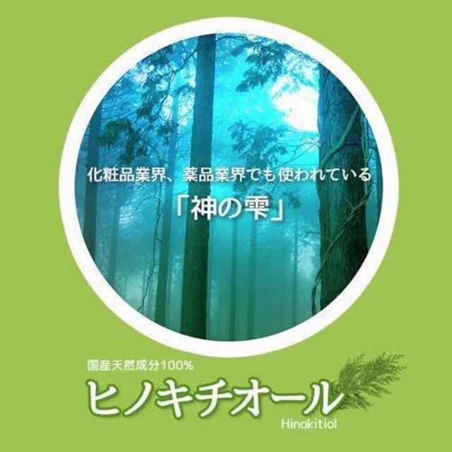 ヒバ抽出 ヒノキチオール10L 2
