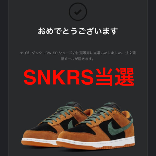 NIKE dunk low Ceramic ダンク　ロー　26cm