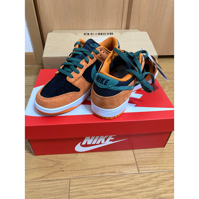 26cm NIKE dunk ceramic