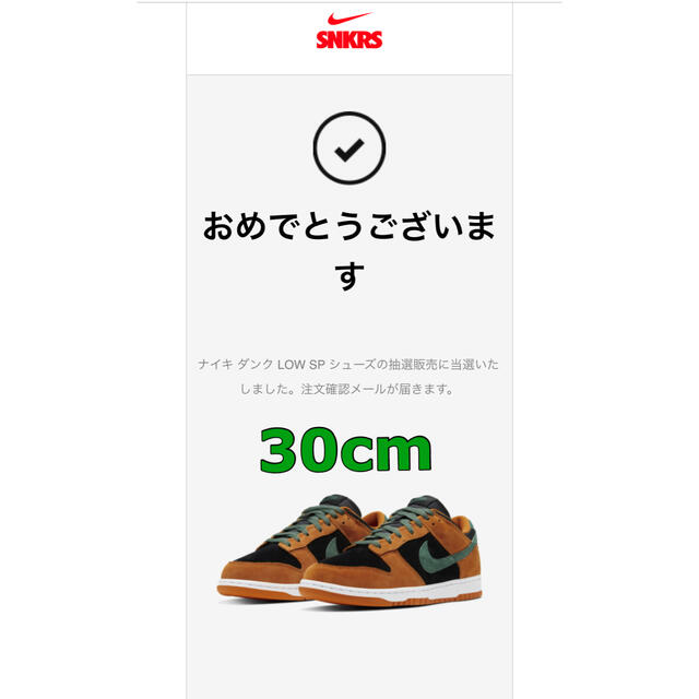 30cm 新品NIKE DUNK LOW SP CERAMIC ナイキ ダンク