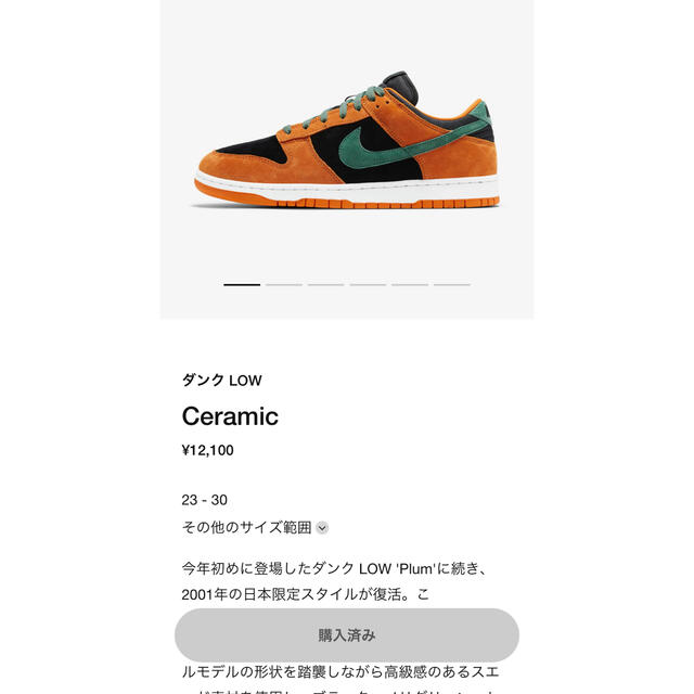 30cm 新品NIKE DUNK LOW SP CERAMIC ナイキ ダンク 2