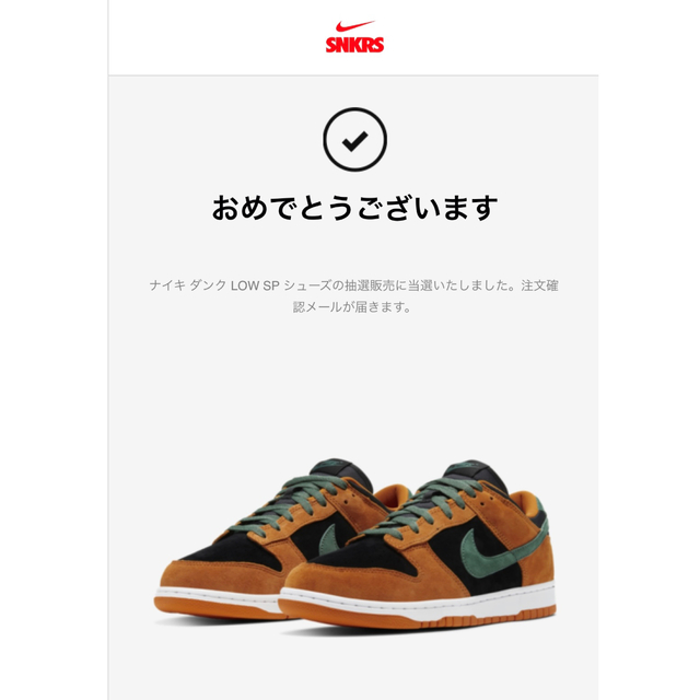 Nike dunk low ceramic ダンク　セラミック