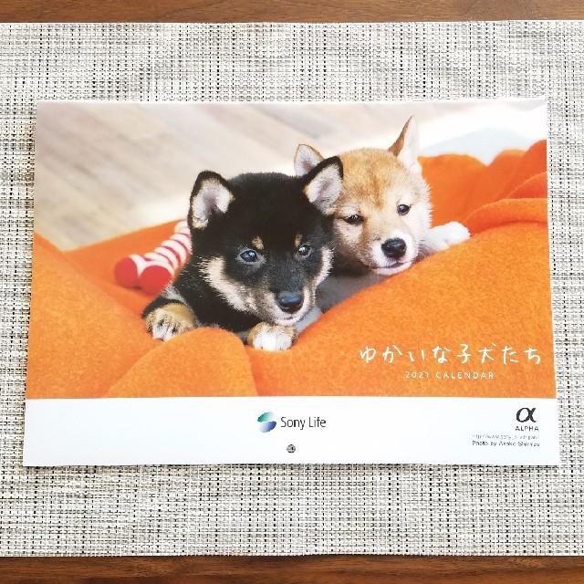 ソニー生命　子犬のカレンダー2021 インテリア/住まい/日用品の文房具(カレンダー/スケジュール)の商品写真