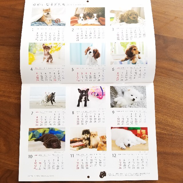 ソニー生命　子犬のカレンダー2021 インテリア/住まい/日用品の文房具(カレンダー/スケジュール)の商品写真