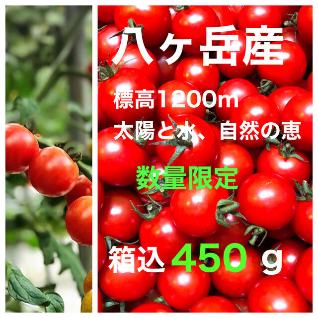 (数量限定)コクトマ！ 八ヶ岳産ミニトマト 初めての方にオススメ　箱込約450g 食品/飲料/酒の食品(野菜)の商品写真