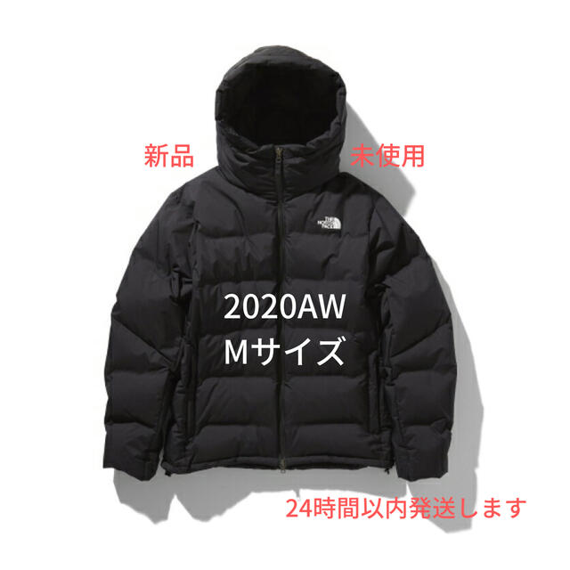 THE NORTH FACE(ザノースフェイス)の【新品】ノースフェイス　ビレイヤーパーカ  メンズのジャケット/アウター(ダウンジャケット)の商品写真