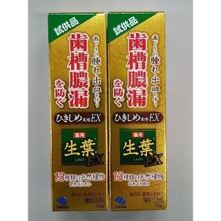 コバヤシセイヤク(小林製薬)の小林製薬　生葉　試供品10g✕2個(歯磨き粉)