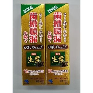 コバヤシセイヤク(小林製薬)の小林製薬　生葉　試供品10g✕2個(歯磨き粉)