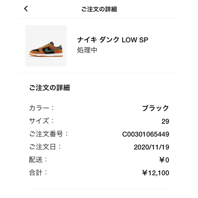 NIKE ダンク LOW