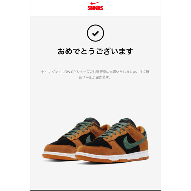 NIKE DUNK LOW SP CERAMIC 28cm ナイキ ダンク