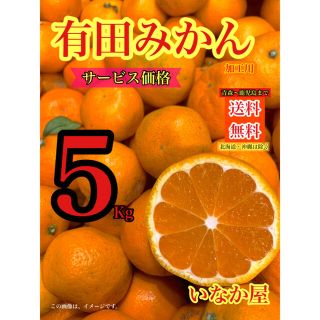 5kg 有田みかん　加工用　売り尽くし(フルーツ)