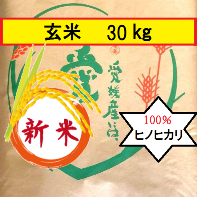 令和2年度産 ヒノヒカリ 玄米30kg