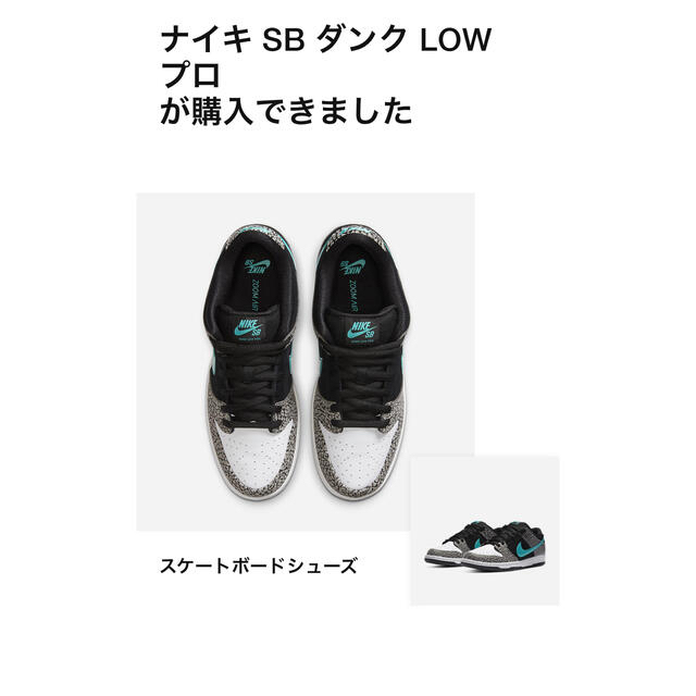 NIKE(ナイキ)のNIKE SB DUNK LOW PRO ELEPHANT メンズの靴/シューズ(スニーカー)の商品写真