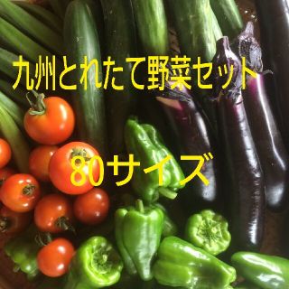 野菜詰め合わせ(野菜)