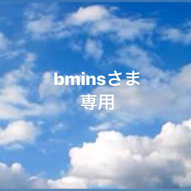 bminsさま専用