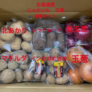 北海道産　じゃがいも　玉葱　6種セット(野菜)