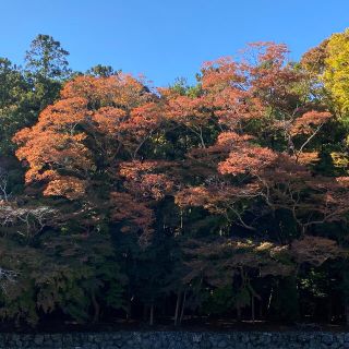 アラシ(嵐)のにじいろのそら様　専用(うちわ)