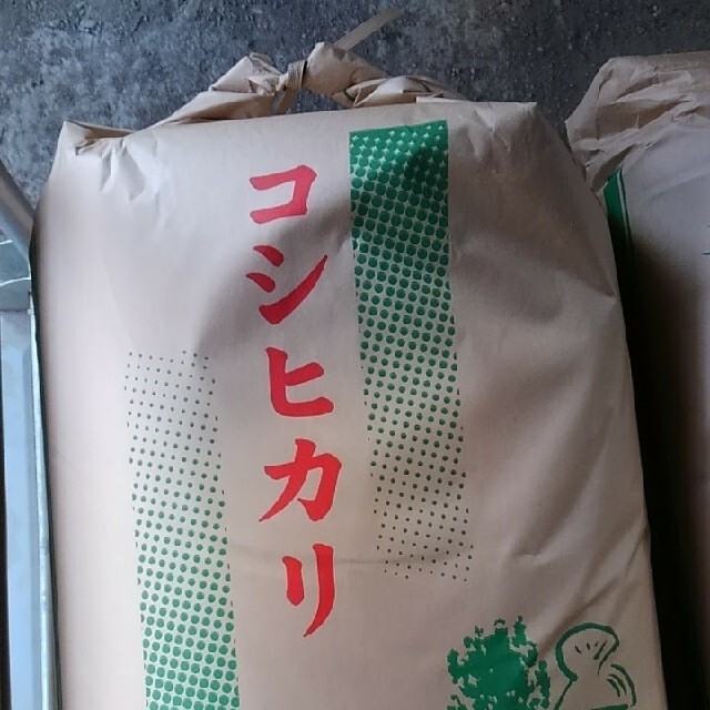 京都丹波産コシヒカリ30kg　米/穀物