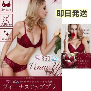 [Venus up Bra] ブラジャー ショーツ ランジェリー ワインレッド(ブラ&ショーツセット)