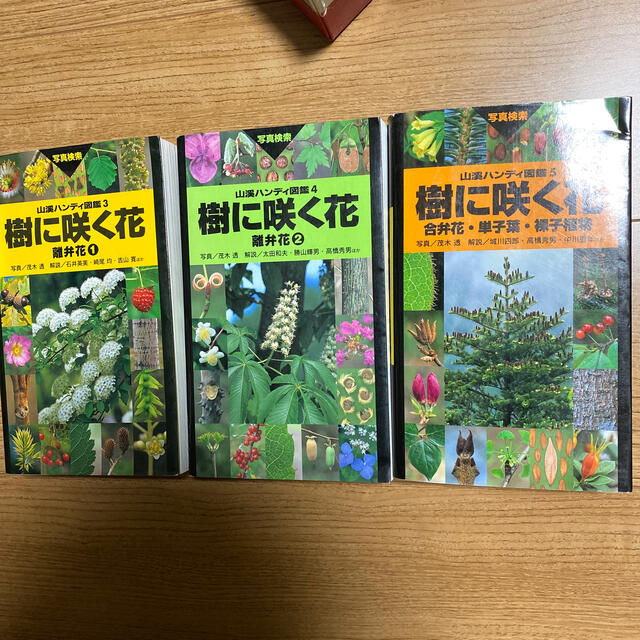 勝山輝男樹に咲く花 離弁花１・２・合弁花・単子葉・裸子植物