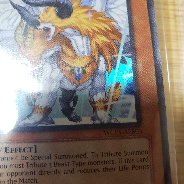 遊戯王 未開封 wcps アジア 獣王キマイラ-eastgate.mk