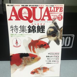 アクアライフ　2012 11月号(趣味/スポーツ)