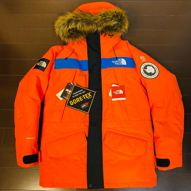 THE NORTH FACE - 【L】定価以下！ The North Face ANTARCTICA PARKA