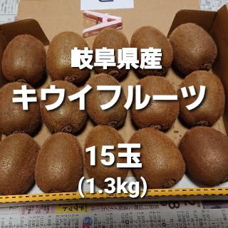 C02 岐阜県産 無農薬 キウイフルーツ 15玉 お得！(フルーツ)