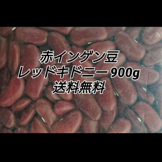 レッドキドニー900g/Red Kidney 乾燥豆 食品/飲料/酒の食品(米/穀物)の商品写真